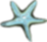Starfish Spritzer