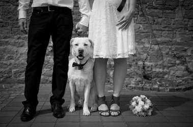 wedding photography weddingphotography love liebe Hochzeitsfotografie hochzeit fotograf hochzeitsfotograf hochzeitsfotografin odenwald mosbach buchen heilbronn mannheim 74722 heidelberg deutschland