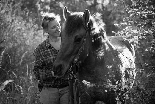pferdefotografie horse photography pferde fotografie tierfotografie katze hund hundefotografie dog cat tierfotograf buchen mannheim mudau höpfingen walldürn pfote 74722
