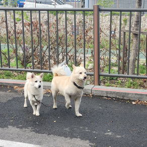 생명을 키운다는 것.