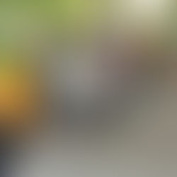 5월의 바하밥집 3