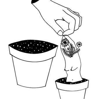 growth.jpeg