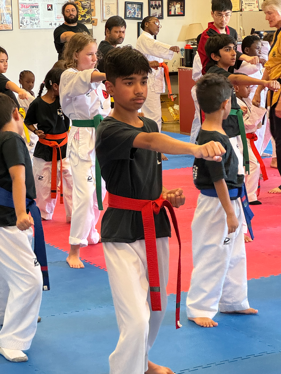 Thumbnail: Taekwondo Summer Session