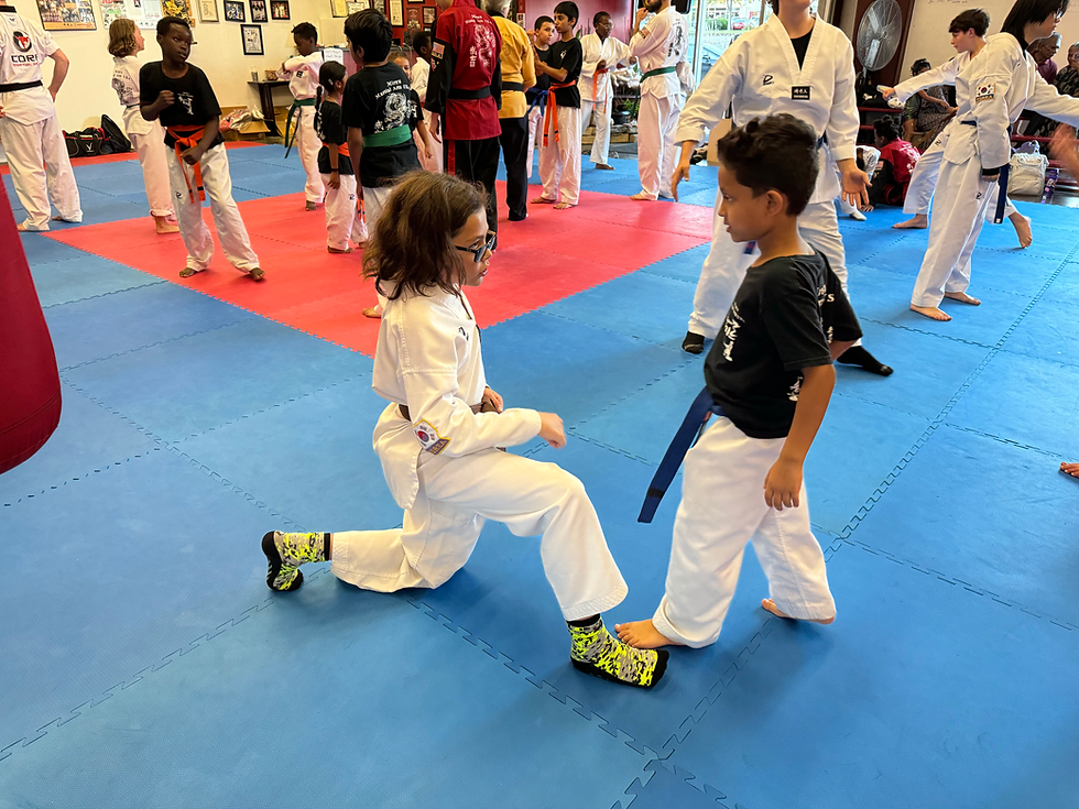 Thumbnail: Taekwondo Summer Session