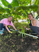 Cafe Namaste volunteer day 