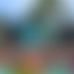 Summer Chill: Yoga, Cold Plunges and Social at Society Wynwood