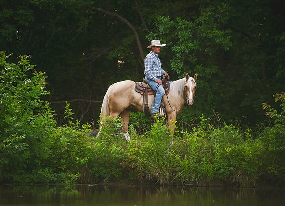 Horse Trainer riding horse for sale Glen Carbon IL Edwardsville IL