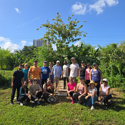Volunteer Day at Green Haven Project: Miami Yoga Community in Action