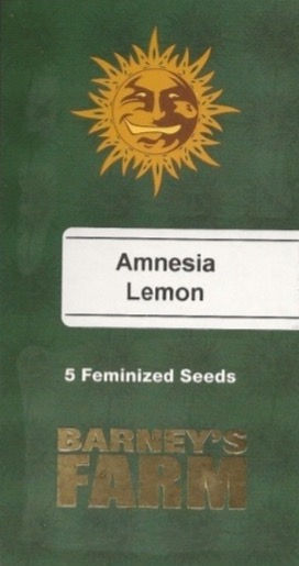 AMNESIA LEMON (X10)