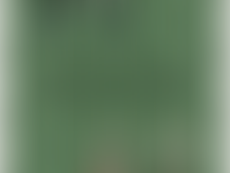 Chennis! (Chess+Tenis) (Ou Xadrênis??)