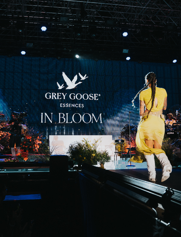 03_Grey-Goose_Desktop.jpg