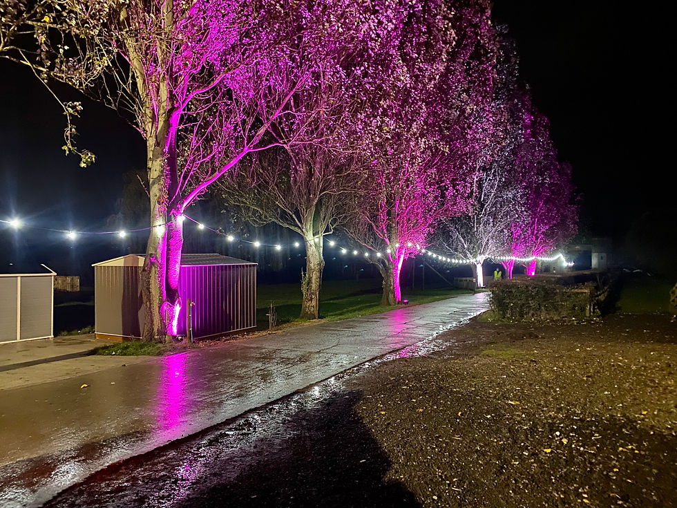 Thumbnail: Festoon Lighting Warm White Bulbs