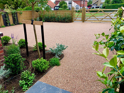 Resin Front Driveway & Planting.jpeg
