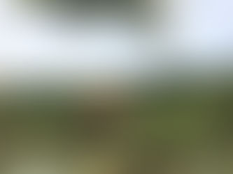 中間考査の後は英検本番