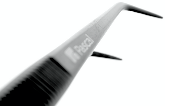 Clear Water Pascal (No Watermarks).009 c