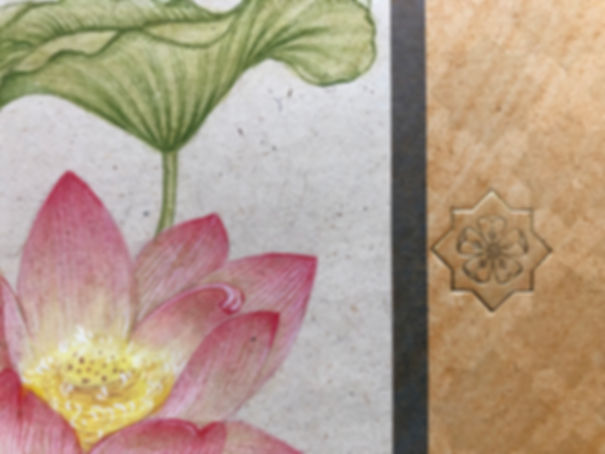 Flora of Mughal India