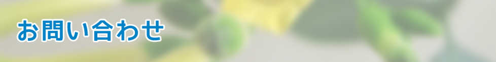 title5.png