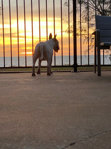 Sunset from the pool deck