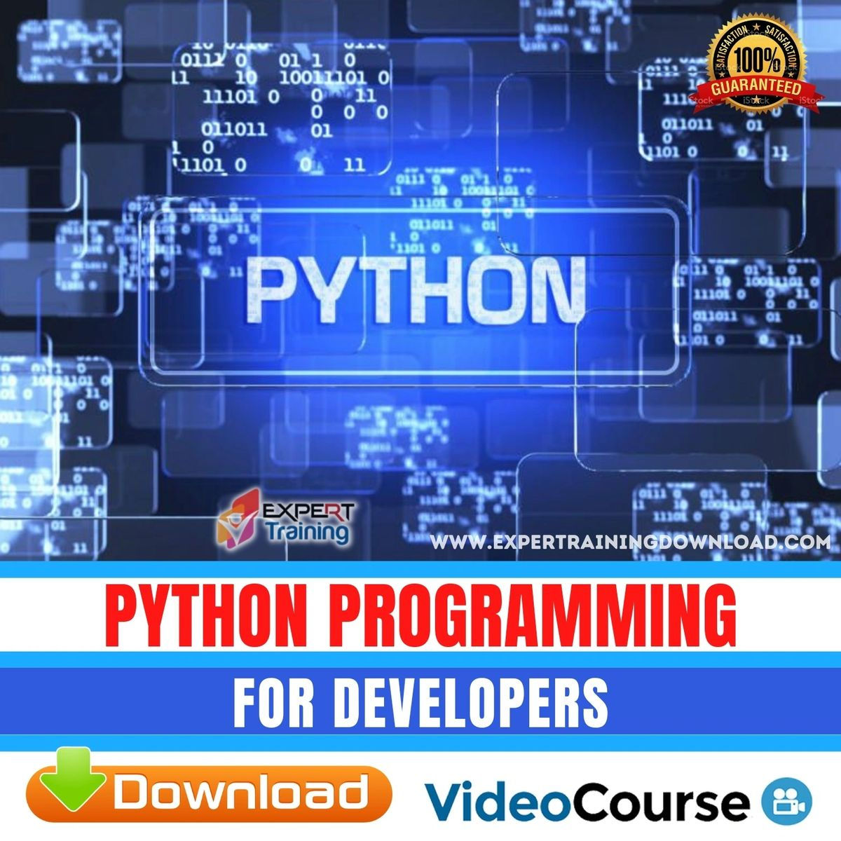 Python Programming For Developers