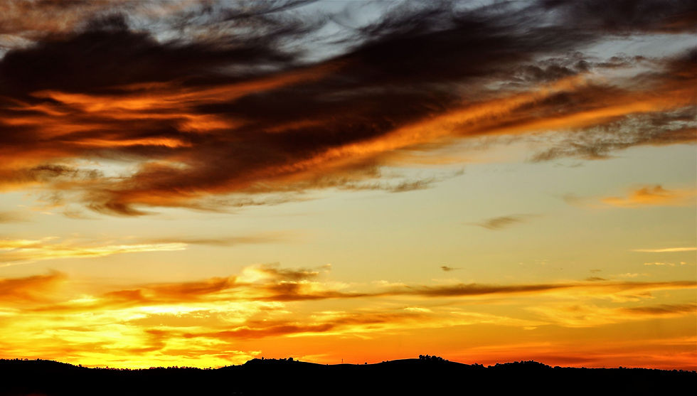 _DSC9200 reduction (1).jpg