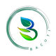BACUTI Company Logo Transparent