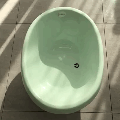 GIF 影像-0B63B42EAD17-1.gif