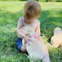 E8BC4F46-B5C2-400E-9A43-BF57EE8F99AB.webp
