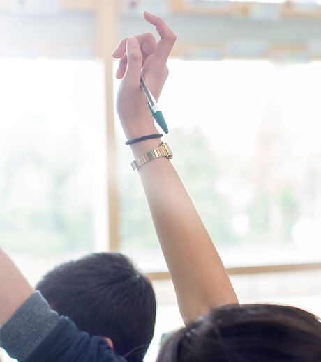 Teenage Students Raising Hands