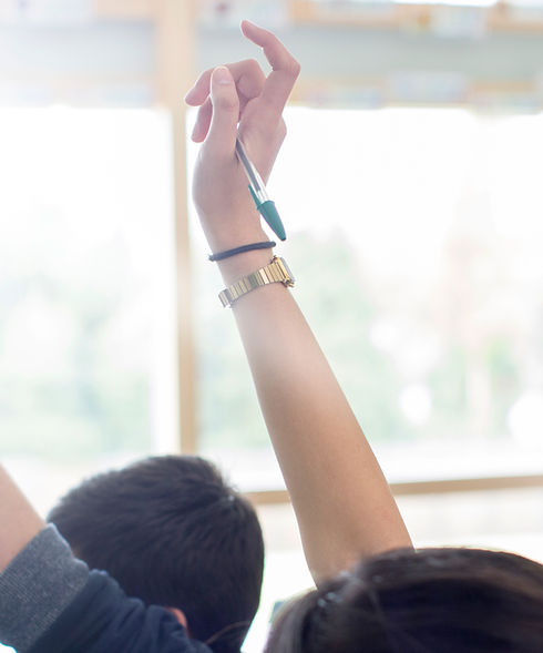Teenage Students Raising Hands