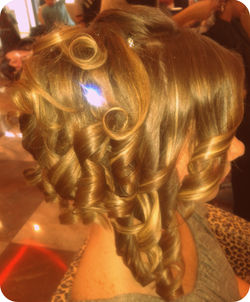 Chignon