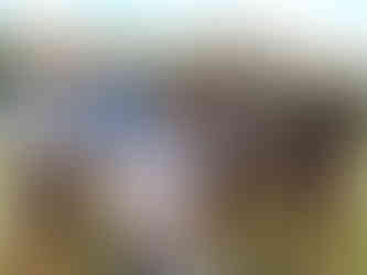 J Steedman, M Kissick, S Hooper, S Bouskill, O Peterson & W Newdick