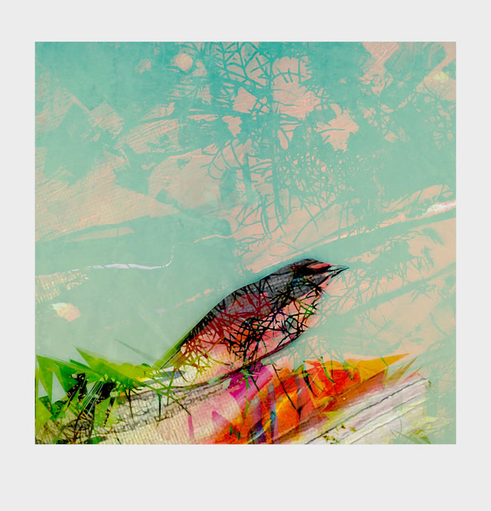 abstractbird.jpeg