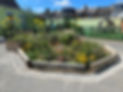 A rain garden