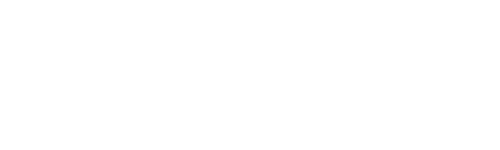 EMS logo white wide
