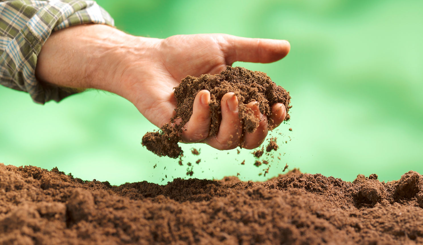 feeling the quality of the soil