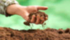 feeling the quality of the soil