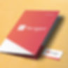 The Agent folder