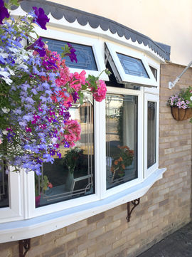 Bay Window with Flowers