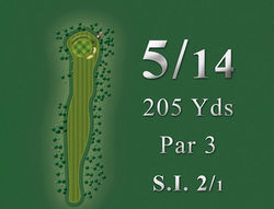 Hole 5 14