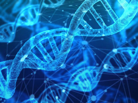 Mandashi invests in the Superbio machine learning platform