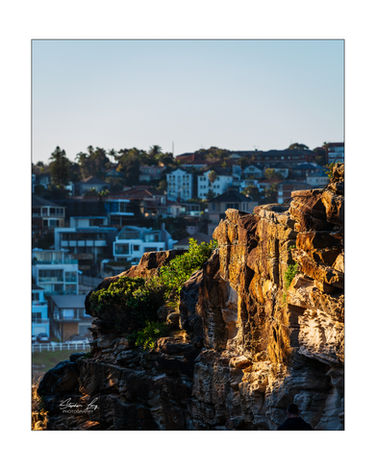 SL1_1576-Edit.jpg