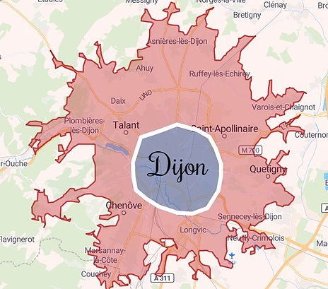 secteur happytails pet sitter 21000 dijon chien chat nac