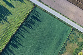 Drone photography a hedge shadows on fields