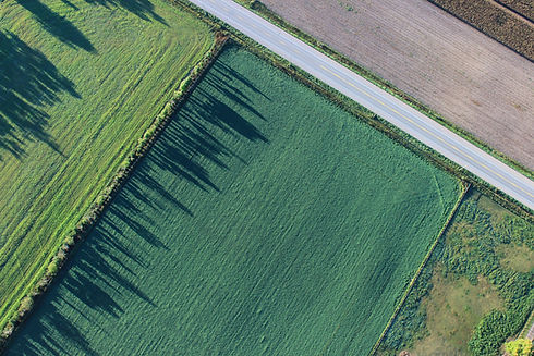 Aerial Photo of a Field