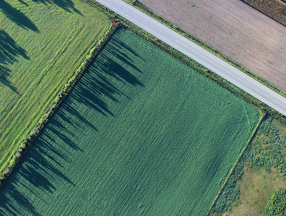 Aerial Farmland View