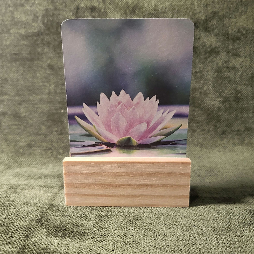 Thumbnail: Dru - Thoughts of Rumi (Little Affirmations Deck)

