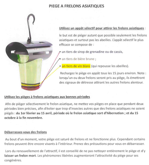 Des pièges à frelon asiatique sont à disposition du public en mairie.