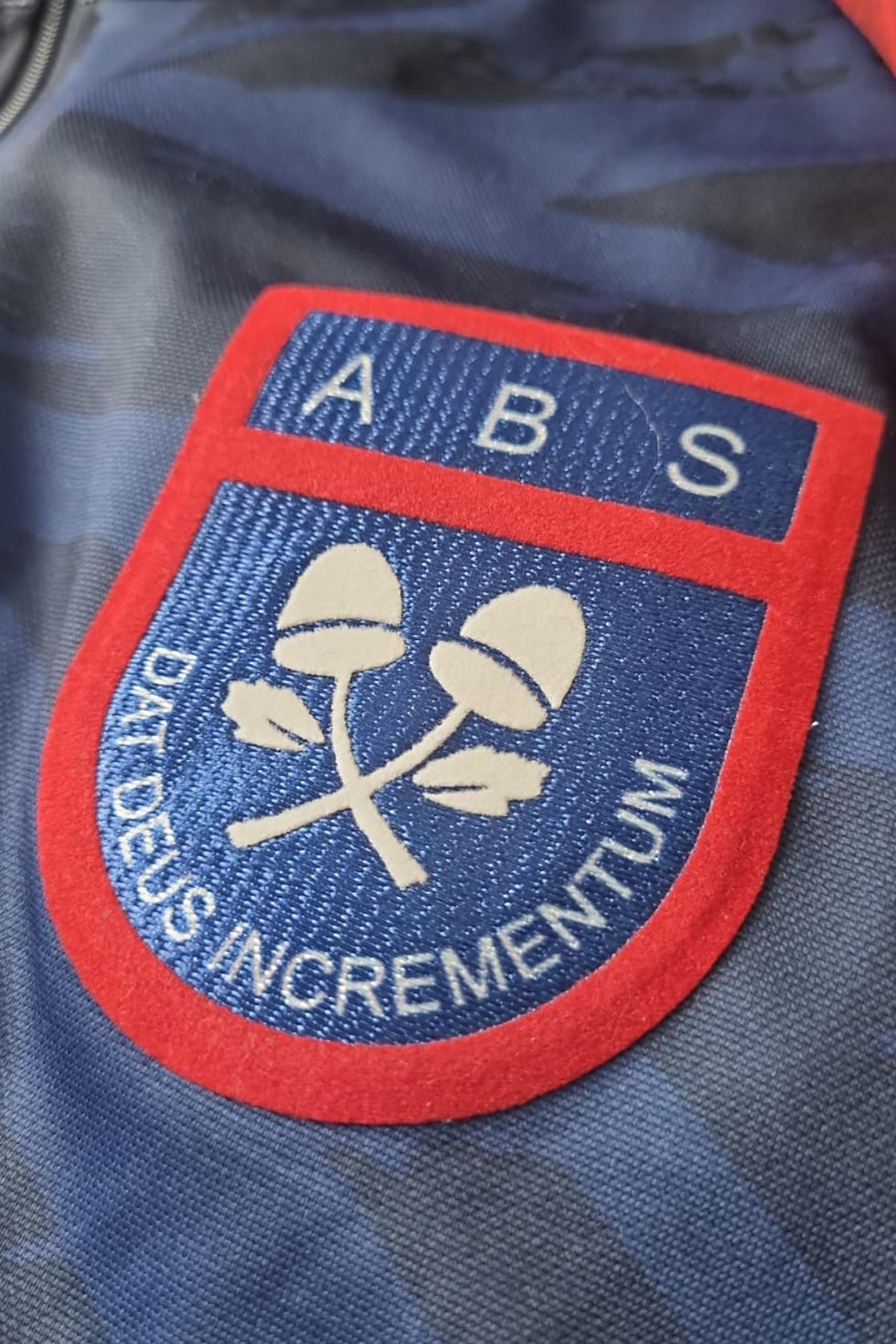 Miniatura: Polerón Deportivo ABS 2024