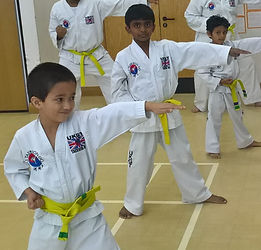 Children doing Taekwondo