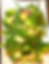 Broccoli & Green Beans image